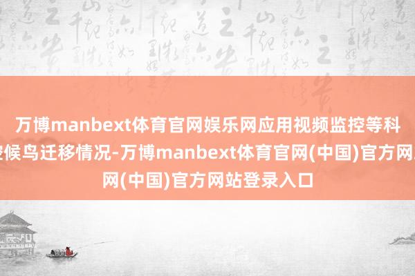 万博manbext体育官网娱乐网应用视频监控等科技时候掌控候鸟迁移情况-万博manbext体育官网(中国)官方网站登录入口