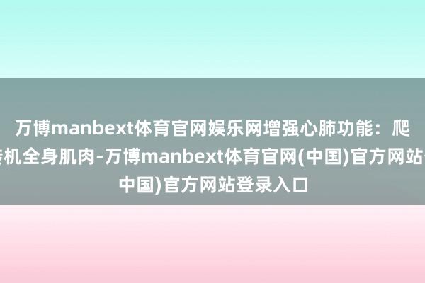 万博manbext体育官网娱乐网增强心肺功能：爬行需要转机全身肌肉-万博manbext体育官网(中国)官方网站登录入口