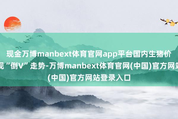 现金万博manbext体育官网app平台国内生猪价钱全体呈现“倒V”走势-万博manbext体育官网(中国)官方网站登录入口