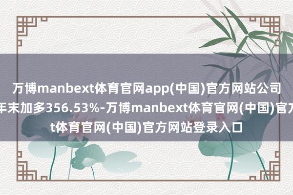 万博manbext体育官网app(中国)官方网站公司短期借款较上年末加多356.53%-万博manbext体育官网(中国)官方网站登录入口