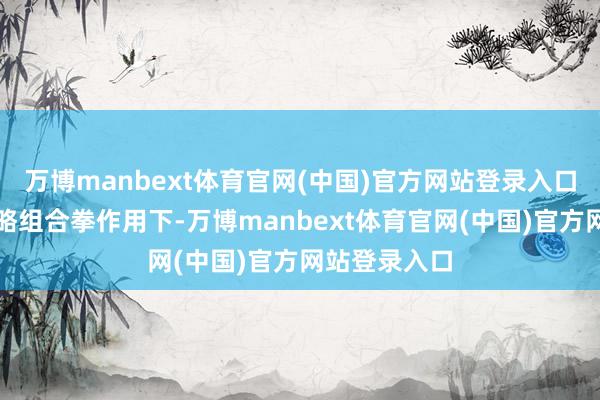 万博manbext体育官网(中国)官方网站登录入口在一系列战略组合拳作用下-万博manbext体育官网(中国)官方网站登录入口