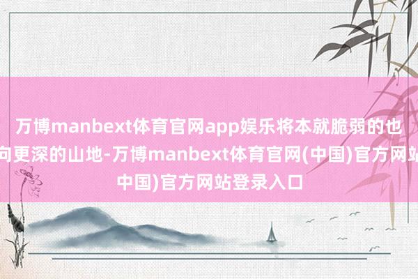 万博manbext体育官网app娱乐将本就脆弱的也门社会推向更深的山地-万博manbext体育官网(中国)官方网站登录入口