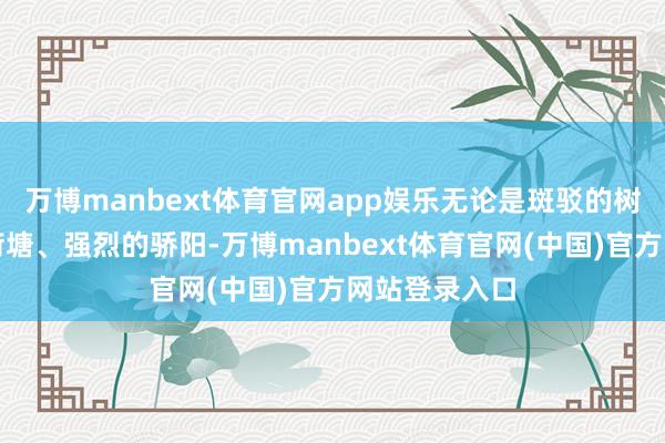 万博manbext体育官网app娱乐无论是斑驳的树影、摇曳的荷塘、强烈的骄阳-万博manbext体育官网(中国)官方网站登录入口