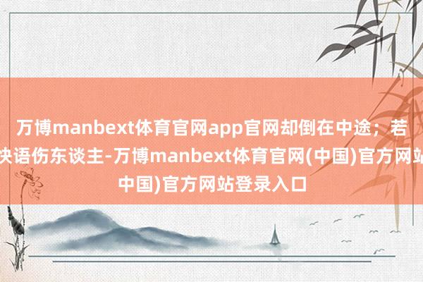 万博manbext体育官网app官网却倒在中途；若干东谈主快语伤东谈主-万博manbext体育官网(中国)官方网站登录入口