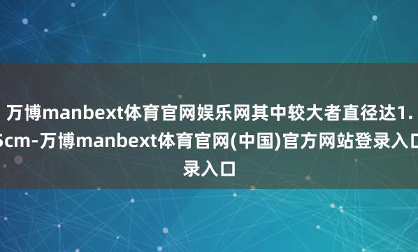 万博manbext体育官网娱乐网其中较大者直径达1.5cm-万博manbext体育官网(中国)官方网站登录入口