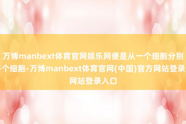 万博manbext体育官网娱乐网便是从一个细胞分别成多个细胞-万博manbext体育官网(中国)官方网站登录入口