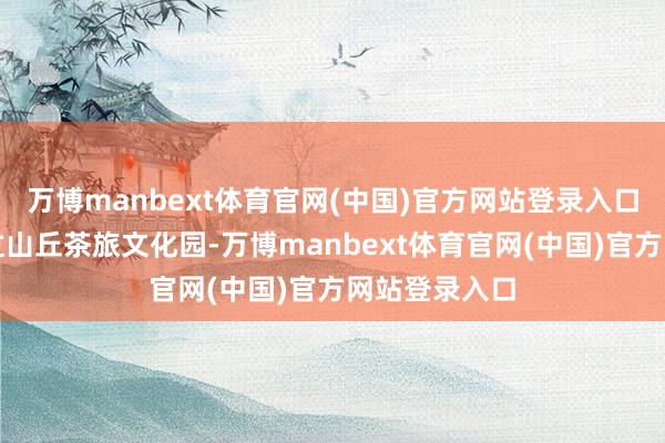 万博manbext体育官网(中国)官方网站登录入口在日照市云过山丘茶旅文化园-万博manbext体育官网(中国)官方网站登录入口
