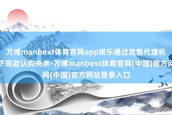 万博manbext体育官网app娱乐通过发售代理机构提交的网下现款认购央求-万博manbext体育官网(中国)官方网站登录入口
