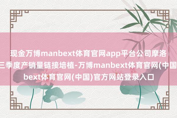 现金万博manbext体育官网app平台公司摩洛哥工场四季度环比三季度产销量链接培植-万博manbext体育官网(中国)官方网站登录入口